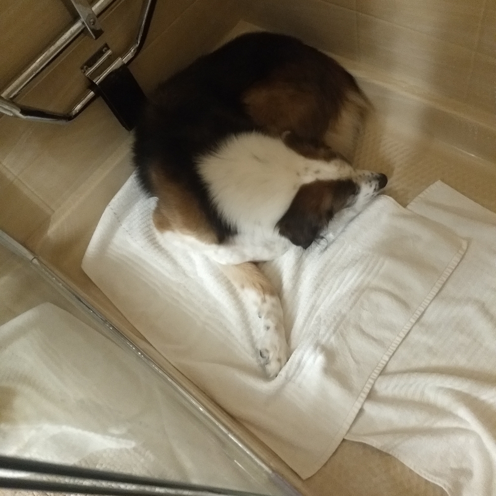 Meet your Posher, Bradley - Picture 3 of 12